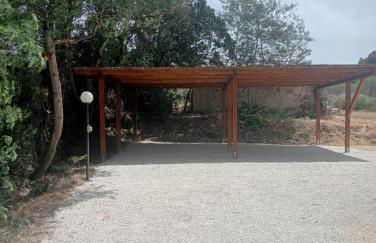 Riccio di Mare - Foto 17