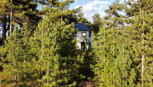 La villa dans les pins - Foto 3, Garden, sunbed, Garden view