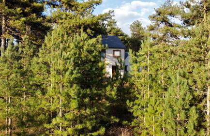 La villa dans les pins - Photo 3