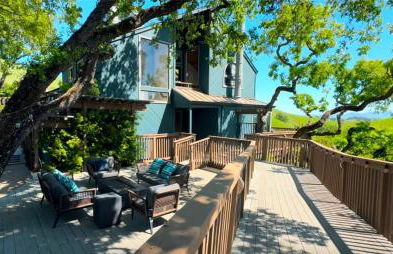 Relax and Rejuvenate- Lafayette Treehouse with Cave Spa, Waterfall, and Incredible Views - Foto 41