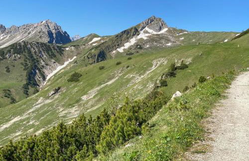 Trollenhof im Allgäu - Ferienwohnungen Säuling - Foto 38