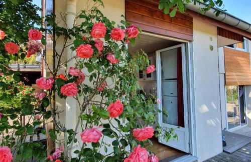 Terrasses du Zimmerberg - Photo 1