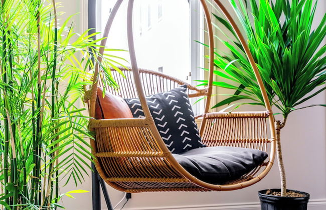 The Urbn Jungle - Foto 41