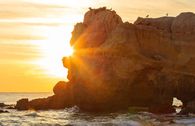 Giro in catamarano al tramonto - Foto 6