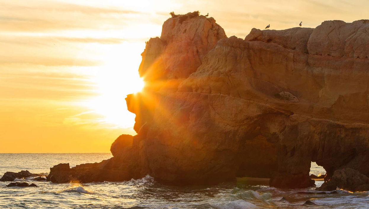 Paseo en catamarán al atardecer