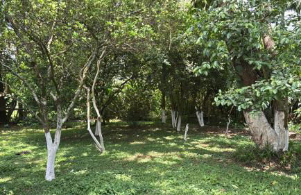 Casa para eventos na Granja Viana - Foto 10