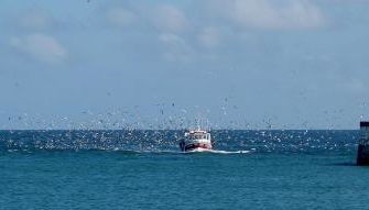 Fenêtre sur Mer I CAP MER - Photo 2