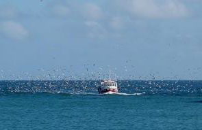Fenêtre sur Mer I CAP MER - Photo 2