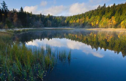 Haus Leufke - Foto 40