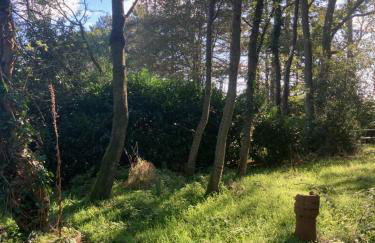 Woodland Retreat, Market Lane, Blundeston, Lowestoft - Foto 46