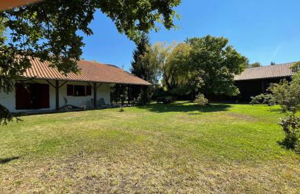 Villa au milieu des pins / bord du lac - Foto 8