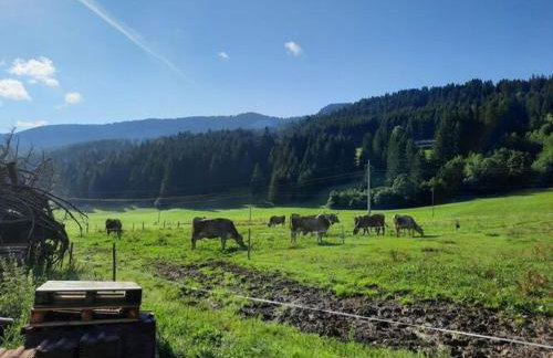 at Gallus - Wetterstein - Foto 17