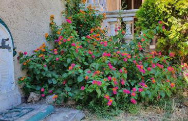 La casa de Margarita y Sisco, Villa avec piscine - Foto 74