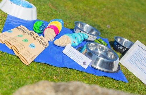 Costentyn, Tor Down Quarry - Foto 26