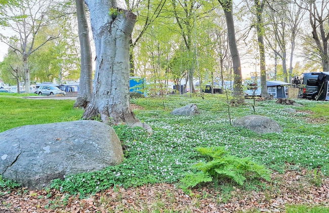 9 Person Holiday Home in Solvesborg-by Traum - Photo 18