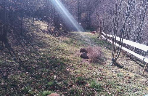 Le Domaine Enchanté - Photo 23