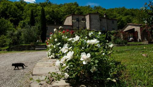 Agriturismo Azienda Agricola il Pozzo - Foto 2, Garden