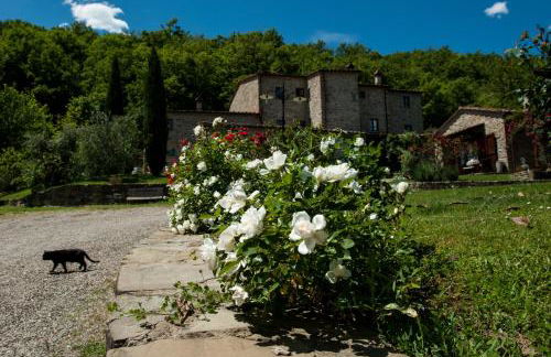 Agriturismo Azienda Agricola il Pozzo - Foto 2