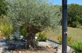 La Tourelle du Lot - Photo 40