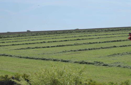 Ferienwohnung Ruhepunkt - Foto 21