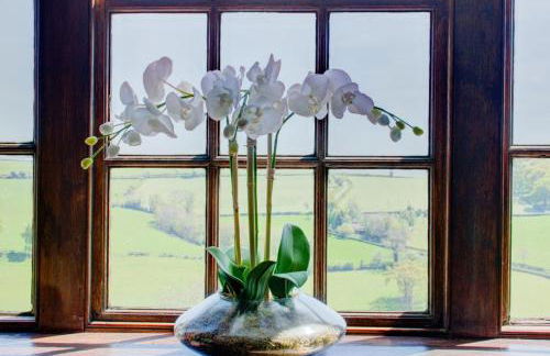 3 Bed in Welshpool oc-bow122 - Photo 18