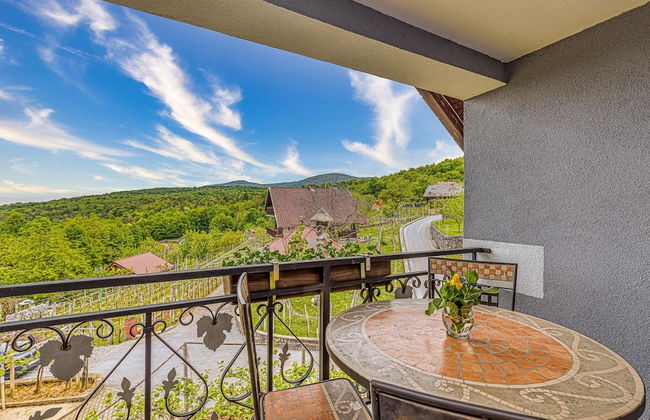 Vineyard Homestead Vrtin - Foto 40