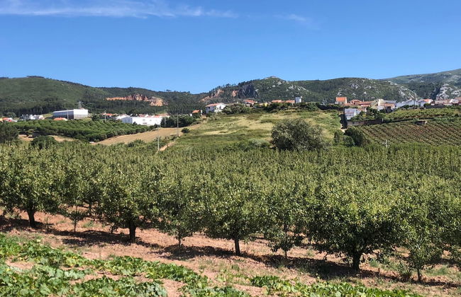 Terra Luso - Foto 26