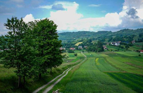 Domek u Borsuka - Foto 4