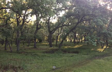 La Portilla de Gredos. Casa rural - Photo 21