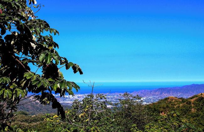 Sol de minca - Photo 60