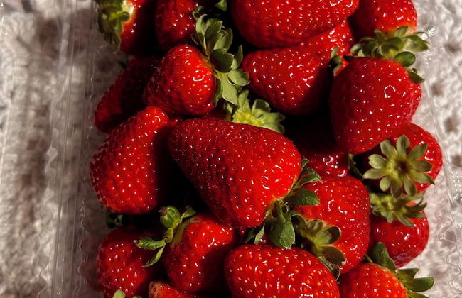 Chalé Caminho do Sol - Foto 55