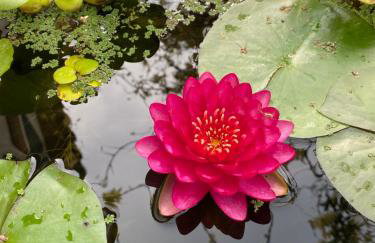 Maison cosy avec jardin et vue sur l'étang - Saint Chamas - Foto 16