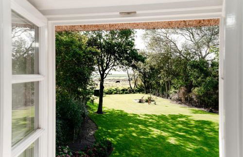 LITZKOW 12003 - Photo 15