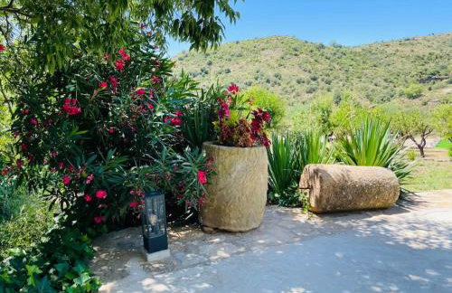 Villa Jardines de Guara - Foto 19