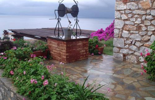 Hydra Erato - Foto 54