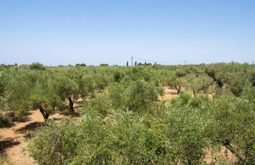 Messenian Serenity - Foto 41