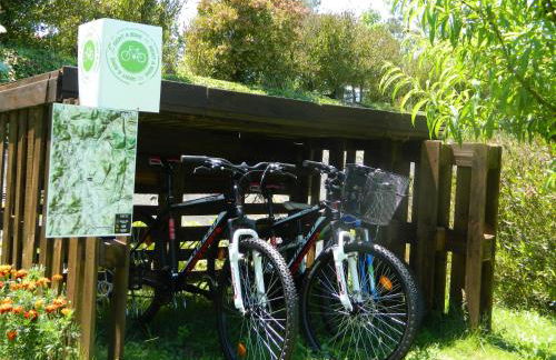 Treehouse Quinta Lamosa - Foto 24