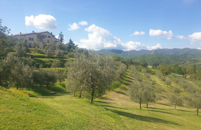 Getaway Amidst Vineyards - Foto 37