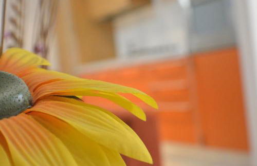 Borgo Saraceno - Foto 48