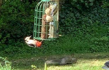 Ideally located Luxury Country Escape-The Lookout-with private garden dog friendly and private hot tub - Foto 31