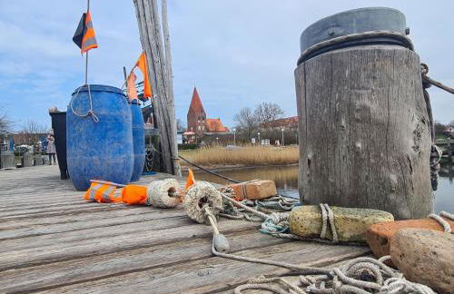 Holz-Ferienhaus Mechelsdorf, nahe Ostseebad Kühlungsborn - Photo 16