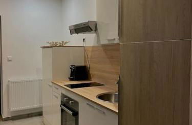 Paisible Duplexe sur Villeneuve d ascq - Foto 33