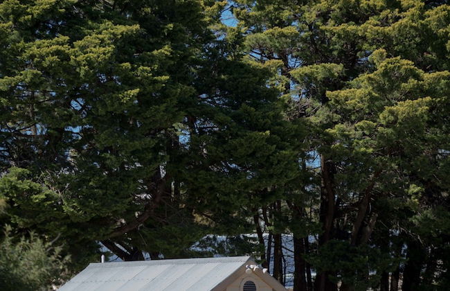 Paxton Square Cottages - Photo 25