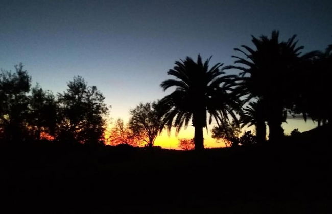 Agriturismo Il Poderino - Foto 16