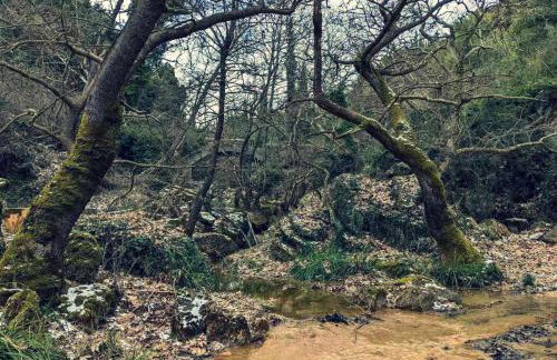 Βίλα Αρμονία Ορεινή Κορινθία - Foto 55