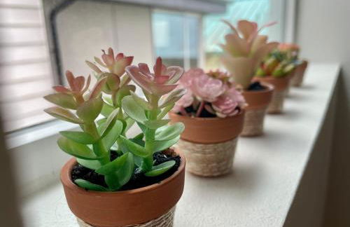 Perch - The Ashworth 69 - Foto 52