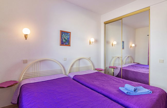 Flor de Maio - Foto 17