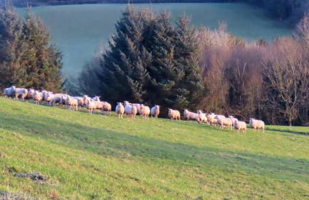 Vale Farm Cottages - Photo 44