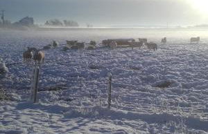 The Haybarn - Foto 58