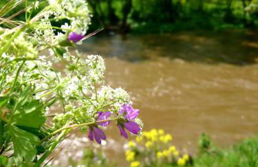 Ahrtal Vier Sterne Ferienwohnungen Alexandra Weiler Ferienwohnung Harmonie - Foto 24